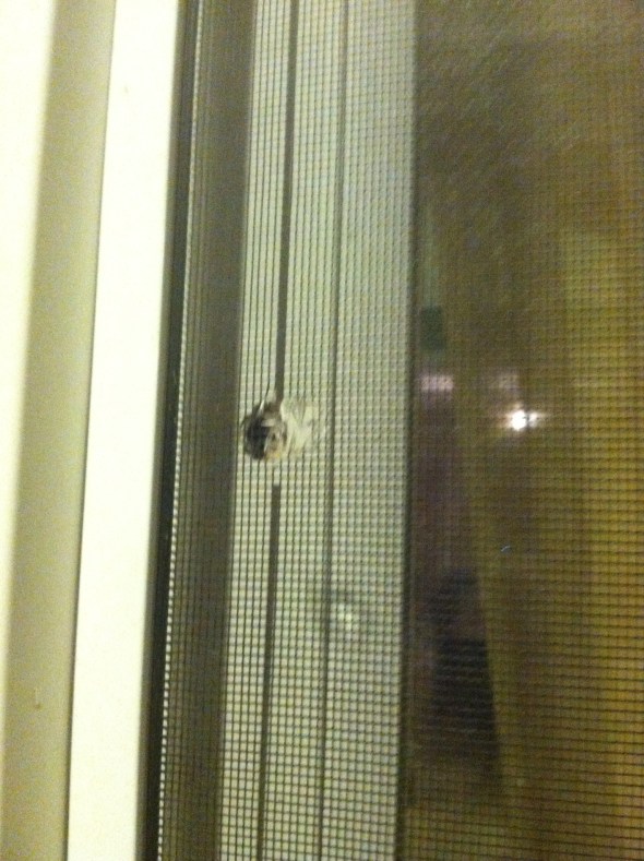 entry from the outside